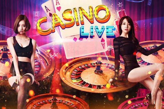 Kotaku Live Casino